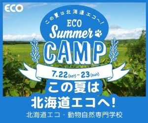 ECO この夏は北海道エコへ！ECO Summer