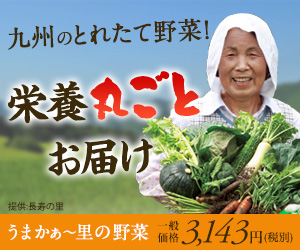 九州のとれたて野菜！栄養丸ごとお届け うまかぁ〜里の野菜