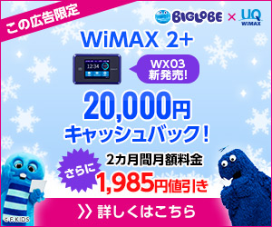 この広告限定 WiMAX 2+