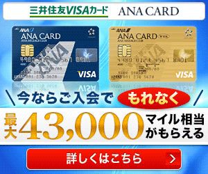 三井住友VISAカード ANA CARD 今ならご入会で