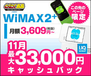 とくとくBB WiMAX2＋月額3,6,9円(税別)〜