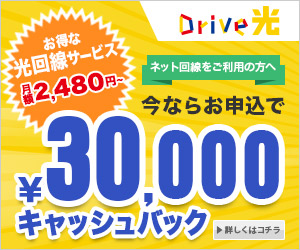 Drive光 お得な光回線サービス月額2,480円〜