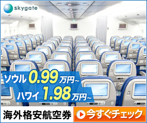 skygate 海外格安航空券 今すぐチェック
