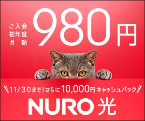 ご入会初年度月額980円 NURO光
