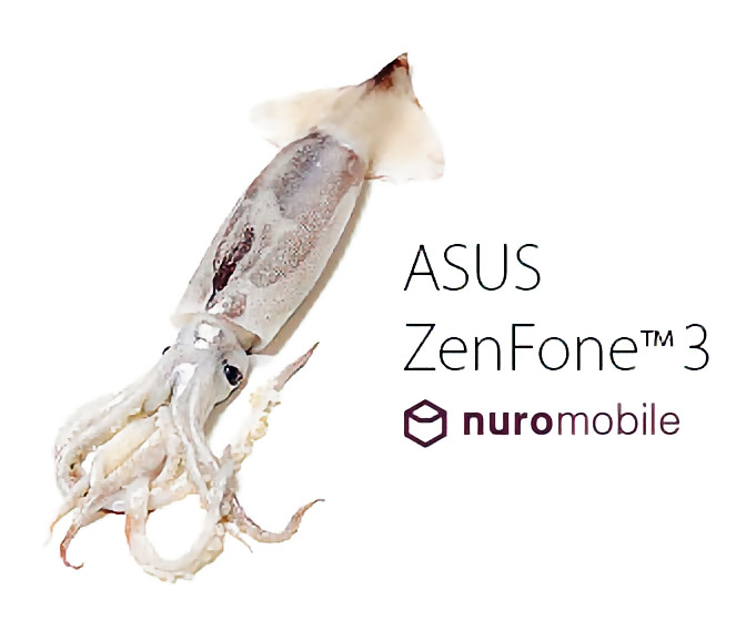 ASUS ZenFoneTM3 nuromobile