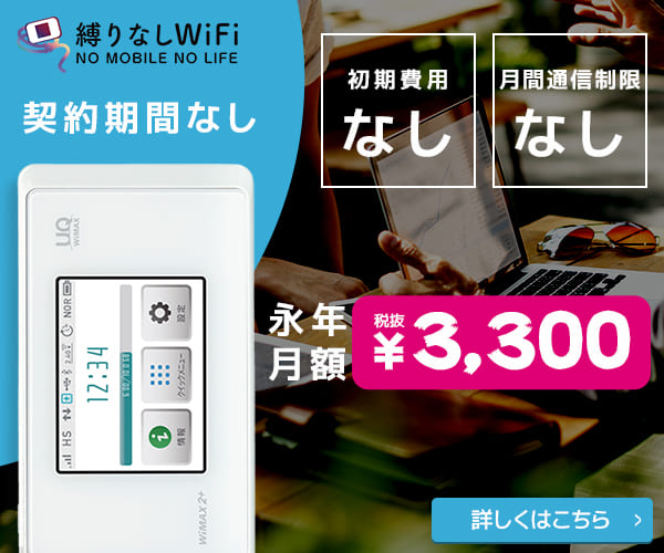縛りなしWiFi契約期間なし 永年月額税抜¥3,300