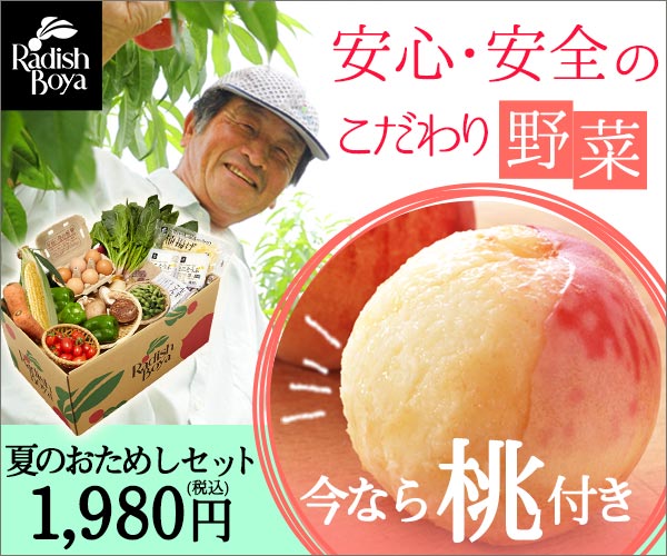 安心・安全のこだわり野菜 夏のおためしセット1,980円